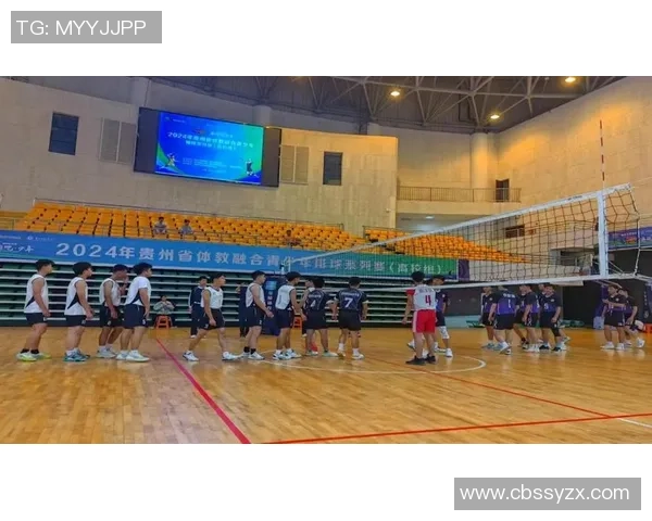 杭州排球队状态对比深度解析与未来展望