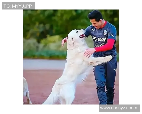 泰国金毛足球明星的传奇之路与背后的奋斗故事