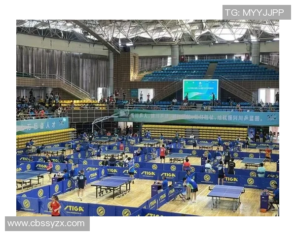 成都乒乓球队在全国锦标赛中的耐力表现分析与总结